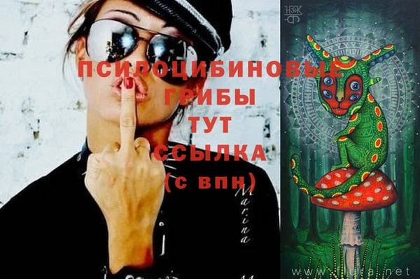 apvp Алзамай