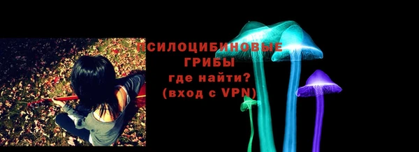 apvp Алзамай