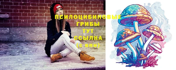 apvp Алзамай